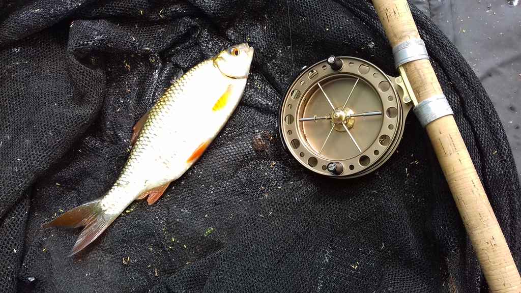 Tithe Barn Fishing Tithe Barn Middle Lake - Catch Reports - PDAS Forum