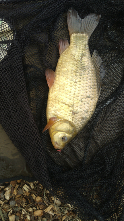 Tithe Barn Fishing Hoping not to get blown away - Tithe Middle 09/04/24 - Catch Reports ...